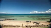 Luxury OCEAN FRONT Truly 5 Star with A/C, 20' From The Water At Pikake. No fees