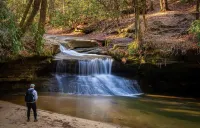 Shady Oaks Cabin 4 in Red River Gorge• Pet Friendly• Hi Speed Internet 🛜