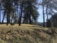 Family-friendly cottage - close to BMS, Watauga Lake, Asheville, Johnson City