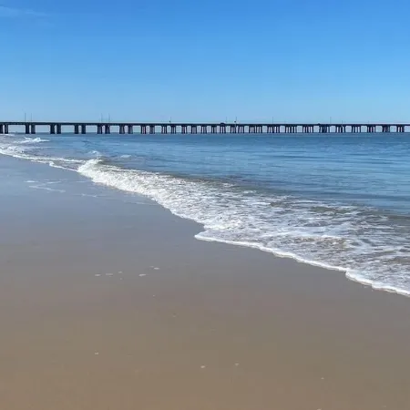 Just Steps to the Beach! Отели рядом с достопримечательностью «Чикс-Бич»