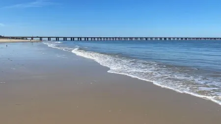 Just Steps to the Beach! Отели рядом с достопримечательностью «Парк штата Ферст Ландинг»