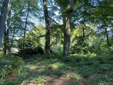historical house in Heidevillage on the outskirts of forest Отели в г. Натендорф