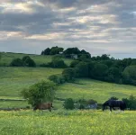 Weaver’s Den, a cosy countryside retreat
