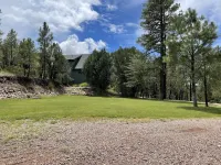 Quiet Luxury-Tall Pines-3 Bedroom-2.5Acres-Sleeps 15-Swim & Fish 5Mins to Creek!