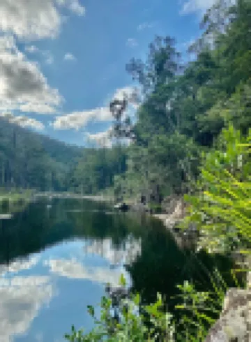 Mid North Coast Macleay Valley Mountain Views - Pet Friendly Cottage