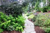 Large One-Story 4BD/2BA Home with Office, Covered Deck, Waterfall, and Nature - badewanne