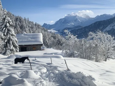 Appartement Dans un Chalet à la Montagne Avec Très Belle vue sur le Mont-blanc 阿爾利河畔普拉茲酒店