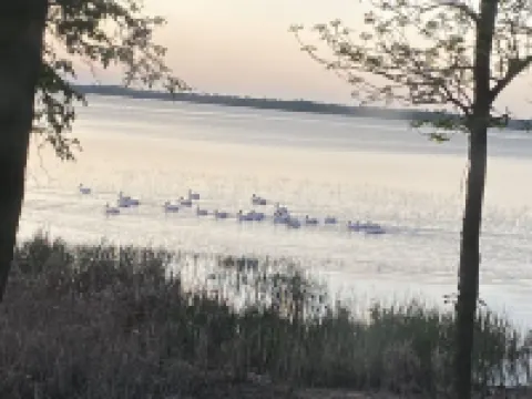 Escape to cozy, secluded lakefront cabin in the north woods