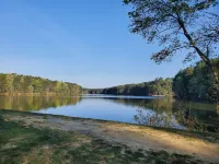 Tranquil Cary Hideaway- Mins to Downtown/Wake Med/NC State ...Newly Furnished!