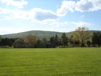 Escape the City! Plain Outside; Gorgeous Inside; Huge Horse/Cattle Farm