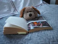 Unique space located in beautiful North NorfolkRelax or Explore from your door!