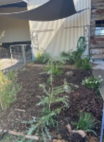 Sundown Cabin Armidale