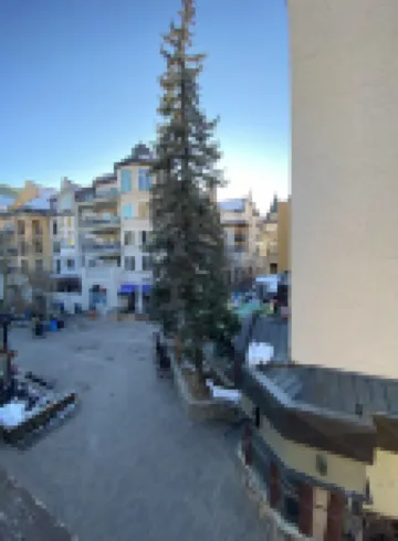 200 ft. to Gondola!! Parking, Balcony, Views, Fireplace!!  Heart of Lionshead!!