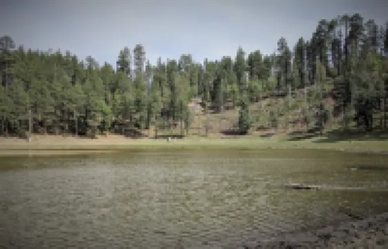 Elkchanted Inn Pine: Fully Fenced Backyard, Spacious Cabin in Woods w/King Bed