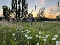 Stay with goats! Hotels in Marietta-Alderwood