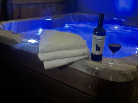 Dubuque Luxury “Hot Tub” Farmers Market Отели рядом с достопримечательностью «Университет Дабек»
