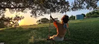Dairy Song: Where the music happens