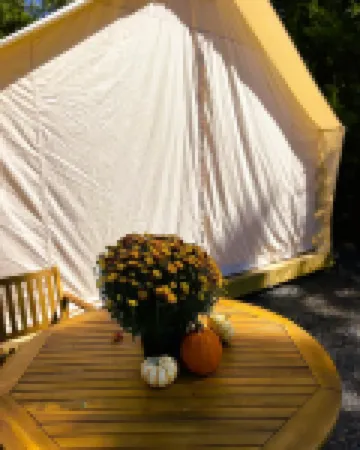 Couples Glamping Tent Near the Buffalo River