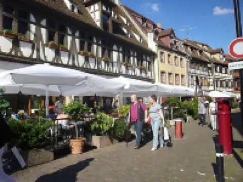 Beautiful apartment between vineyards and Obernai ramparts