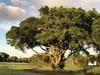 PGA Resort Cottage FREE Private Beach Club Access & Sunsets on the 18th Fairway