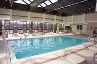 Hilton St. Louis at The Ballpark - Pools