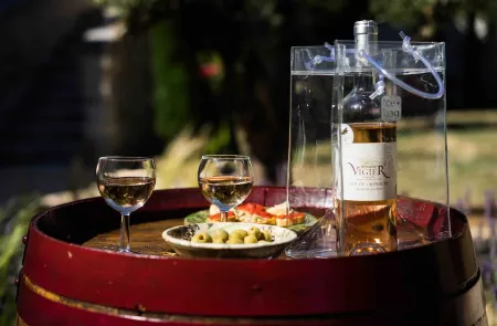 La Magnanerie  Charming gîte Отели в г. Валлон-Пон-д'Арк