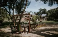Pitchouline Estate @ Vineyard & Olive Grove by Fallbrook, Temecula Wine County