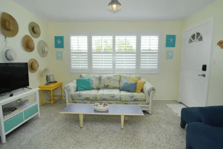 The Dolphin House! Pool Home. Unlimited Well Mannered Pets Welcome Отели в г. Ормонд-Бай-Те-Си