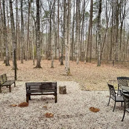 Blade Bay - Beautiful Remodeled cabin, close to everything, pet friendly!
