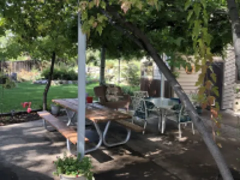 Bohemian Tree Casa