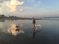 Unique Romantic Beach Style Cottage close to  Folly Beach & historic Charleston! - Romantic