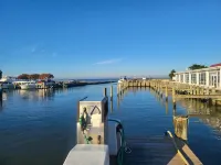 Fishermen's Catch