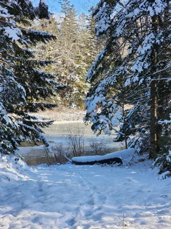 New Cabin on Pennamaquan River. Relax in comfort and privacy .