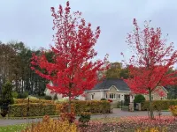 'The Willows' A Charming home on Dollarbeg Castle Estate Hotels in Dollar