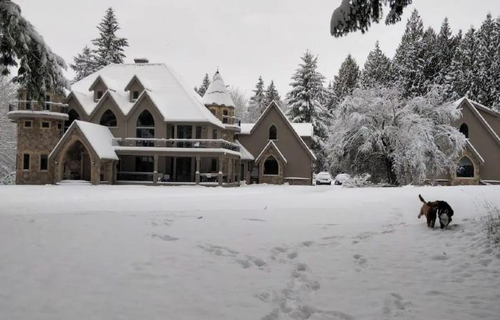Castle Apt. Redmond / Woodinville, King Queen with AC, WiFi, close to everything
