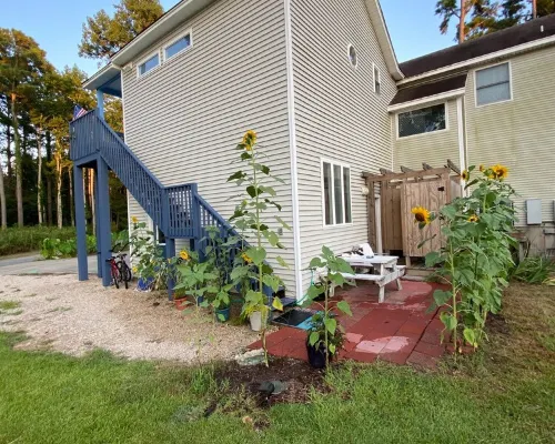 Private treetop suite in Kitty Hawk  Coastal Preserve Hotels in Kitty Hawk