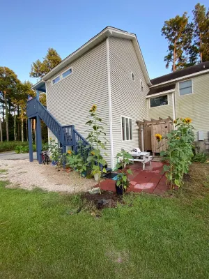Private treetop suite in Kitty Hawk  Coastal Preserve