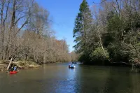 Cabin with two trout rivers onsite. Brevard and Pisgah National Forest close by.