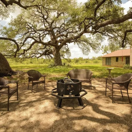 Three Oaks Property