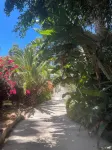 Apartment in country house with tropical garden and pool 2 bedrooms
