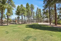 Family-Friendly Flagstaff Townhome - Mountain Views, AC, Fireplace, Close to Nau