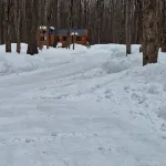 Cozy retreat for the whole family!5 min. walk to the famous Salmon River