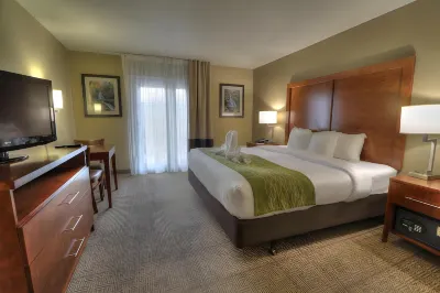 Comfort Inn & Suites at Dollywood Lane Hotel a Pigeon Forge