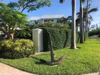 Dolphin Cove - WiFi