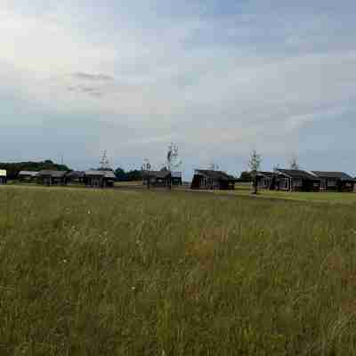 Dancamps Kolding City Others