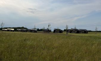Dancamps Kolding City
