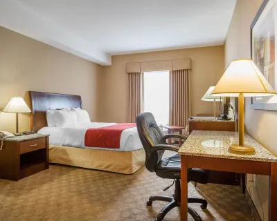 Comfort Inn & Suites Hotels in Rocky View County