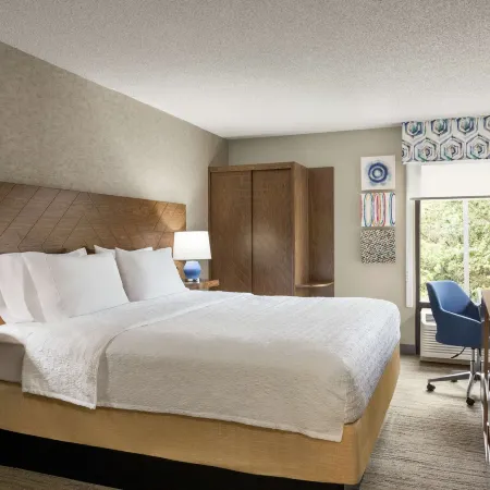 Hampton Inn Kansas City-Airport
