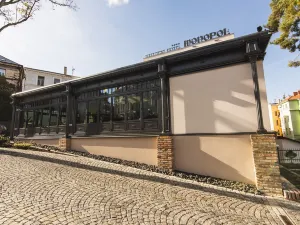 Wellness Hotel Pivovar Monopol