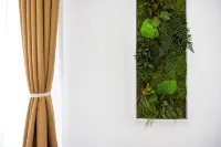 Visimo Apartments St Gallen Mühlensteg - Elegant Quiet Central - Baarit